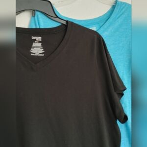 Set of 2 Danskin Women's Plus Exercise T-Shirts